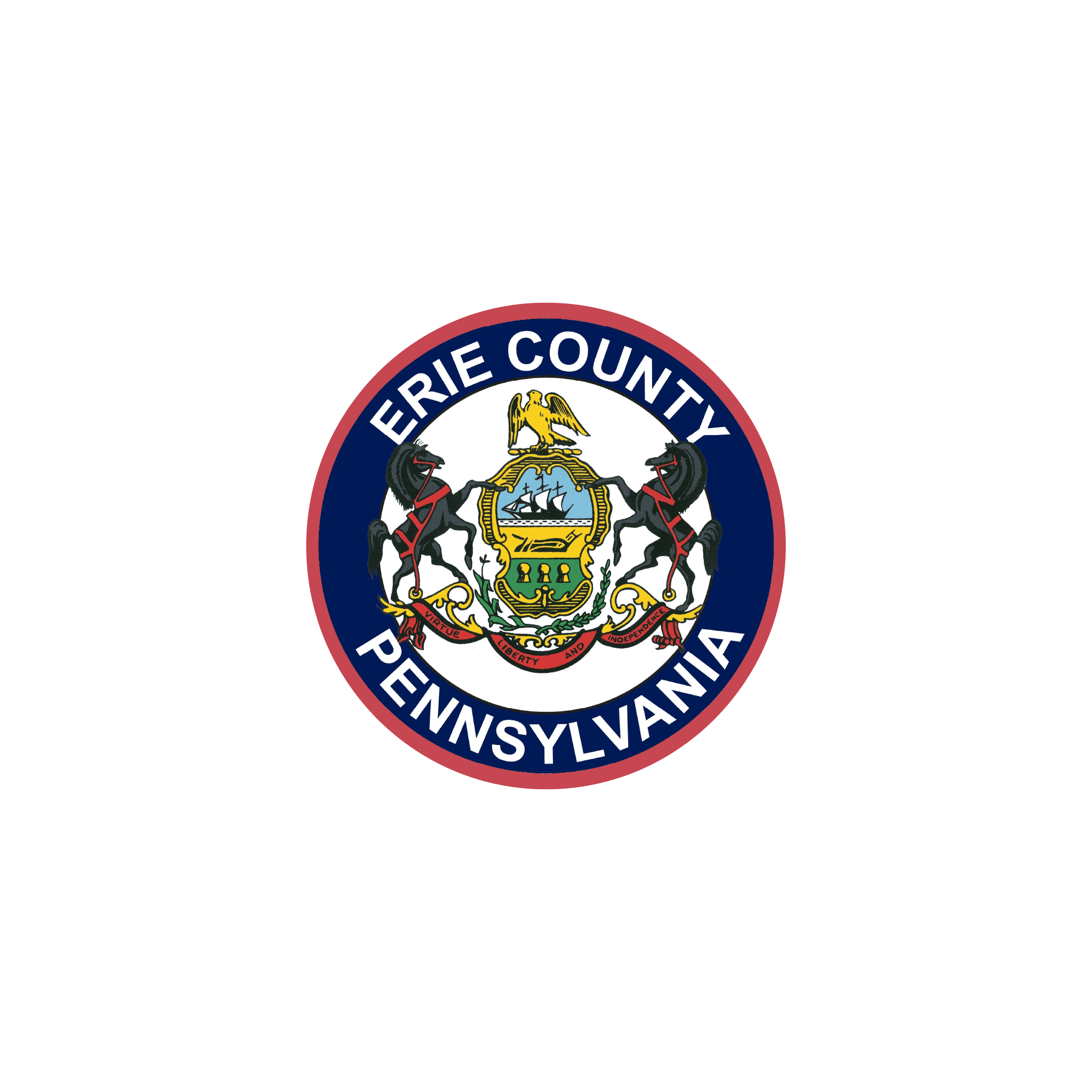 Temporary Filler Photo